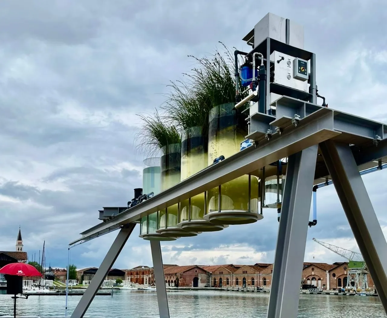 Set di 4 acquari cilindrici realizzati da CaVenza — Canal Café, Venezia