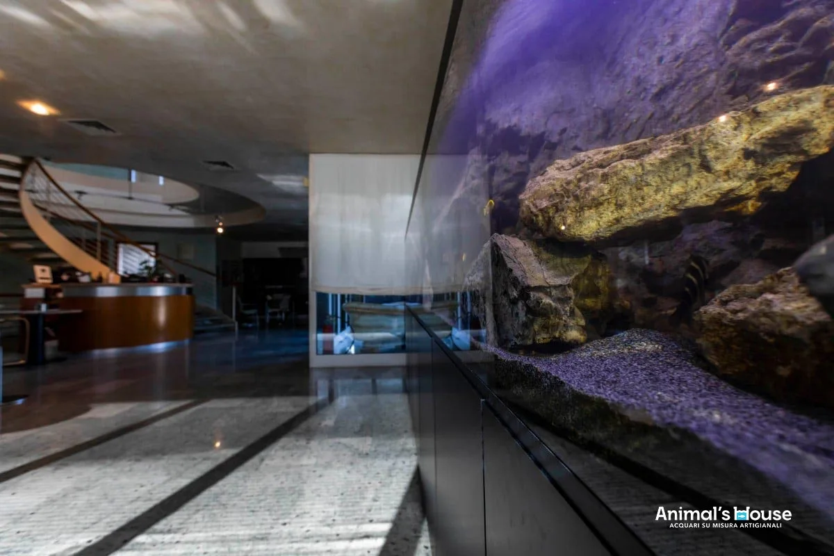 Acquario Malawi Tanganica, secondo scatto — CaVenza