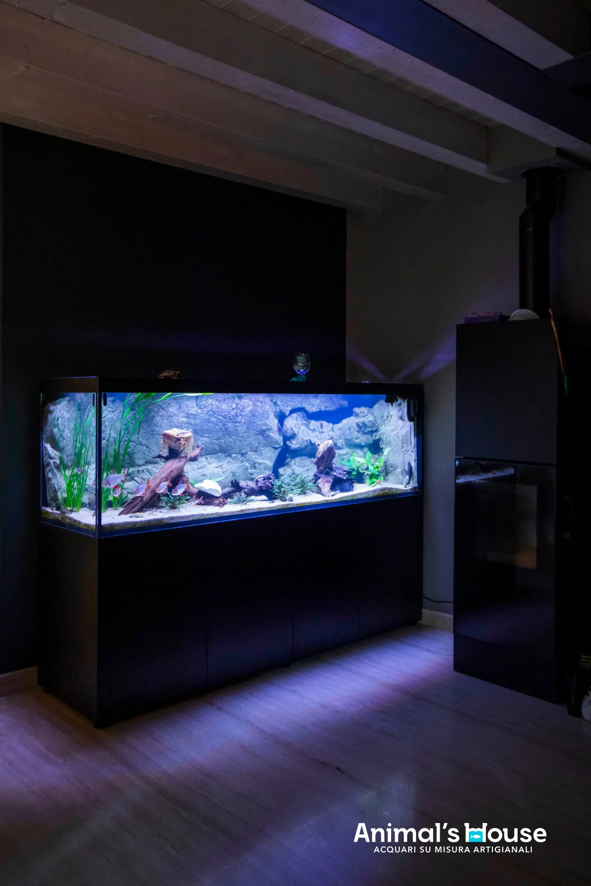 Acquario artigianale per semaprochilodus taeniurus — CaVenza