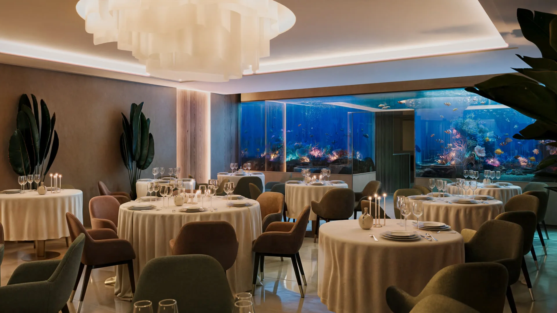 Acquario a parete in ristorante fine dining — CaVenza